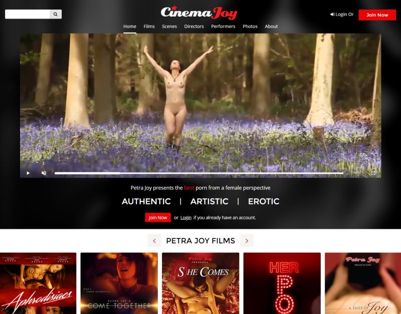 Cinema Joy Review - Online movie theatre of a European porn ...